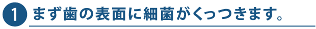 1. まず歯の表面に細菌がくっつきます。