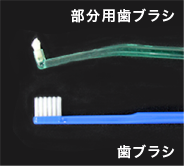 部分用歯ブラシ