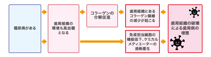 糖尿病がある→歯周組織の環境も高血糖となる