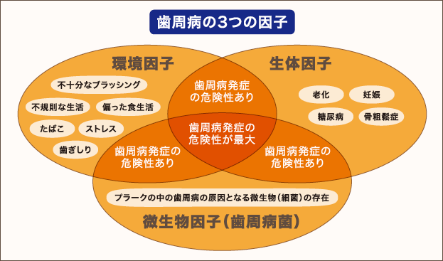 歯周病の3つの因子。